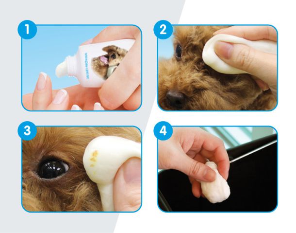 PawCare