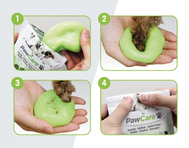 PawCare